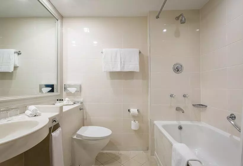 Fotos del hotel Castletroy Park:  8