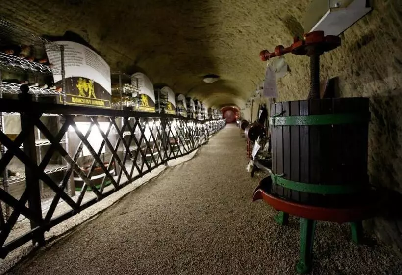 Fotos del hotel Korona Wellness, Rendezvény és Borszálloda:  17