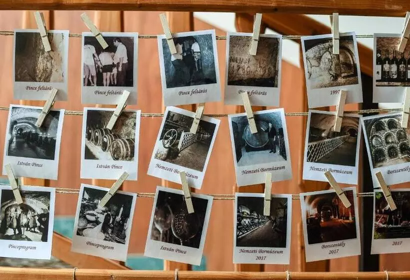 Fotos del hotel Korona Wellness, Rendezvény és Borszálloda:  9