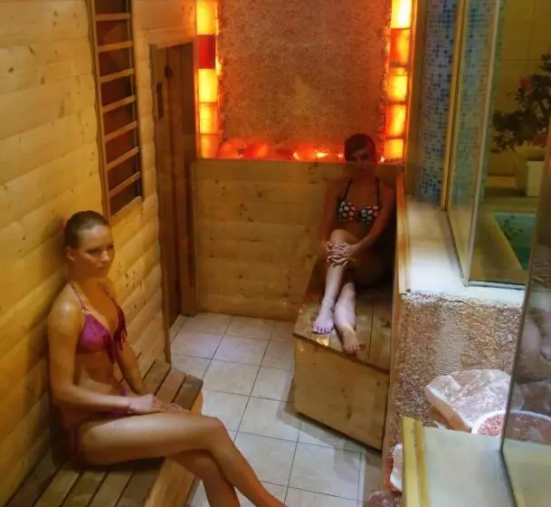 Fotos del hotel Korona Wellness, Rendezvény és Borszálloda:  3