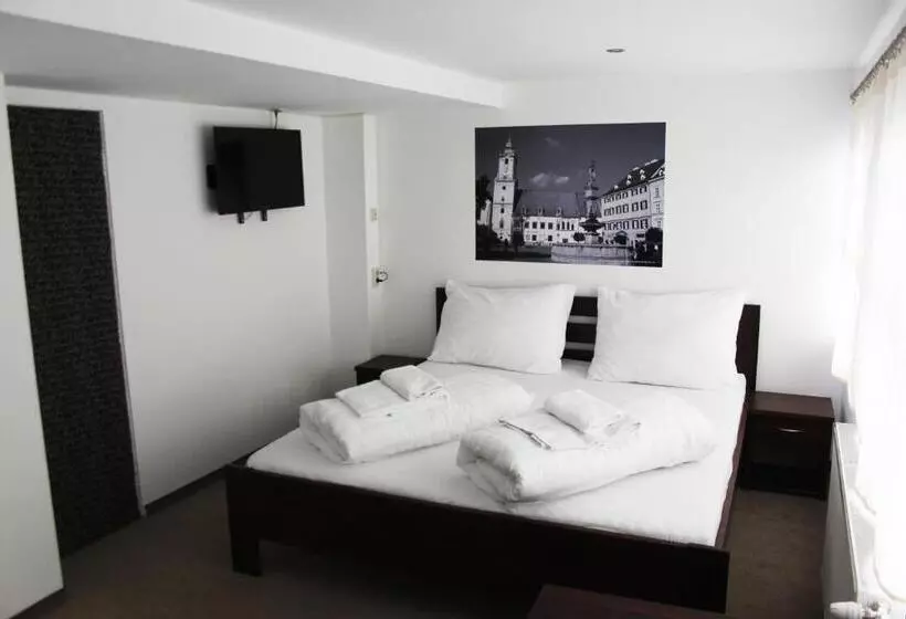 Fotos del hotel Botel Gracia:  2