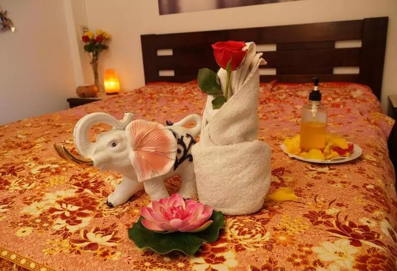 Fotos del hotel Botel Gracia:  20