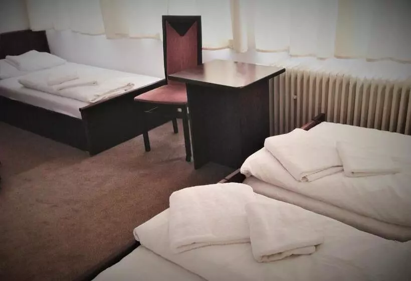 Fotos del hotel Botel Gracia:  15