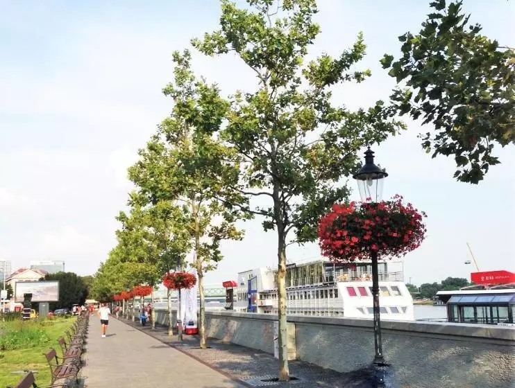 Fotos del hotel Botel Gracia:  12