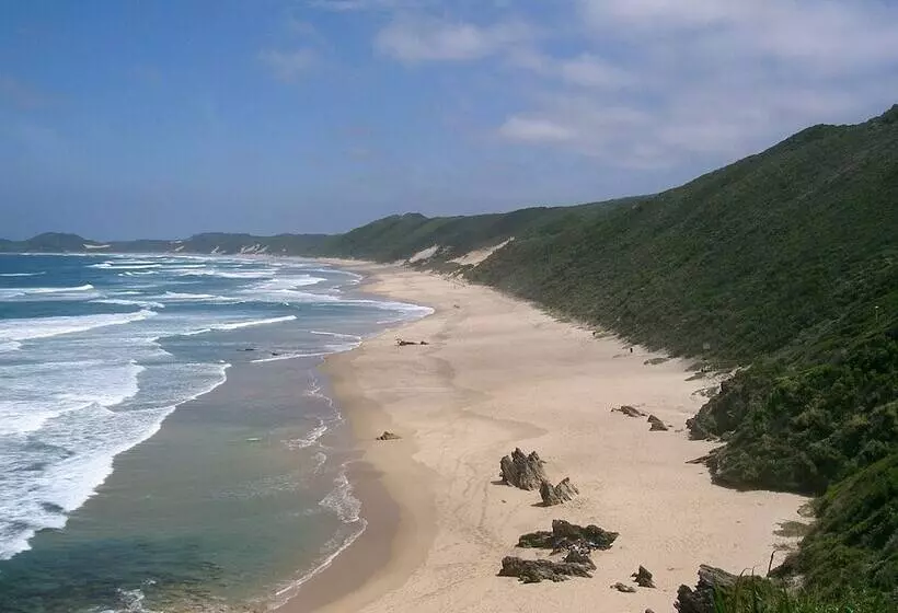 Fotos del hotel Belvidere Manor:  4