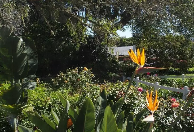 Fotos del hotel Belvidere Manor:  13