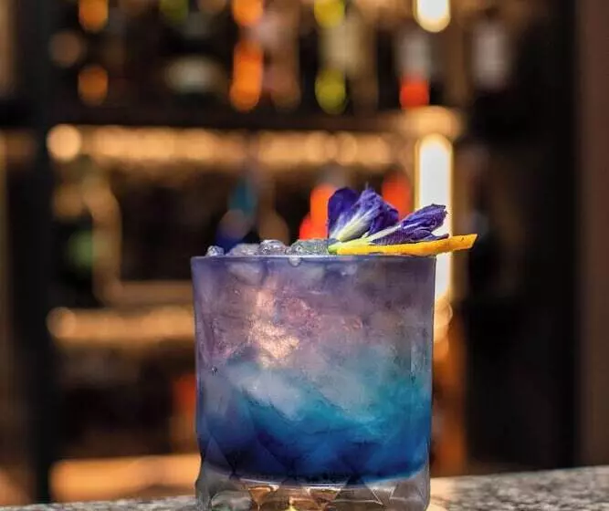 Fotos del hotel Twin Towers:  13