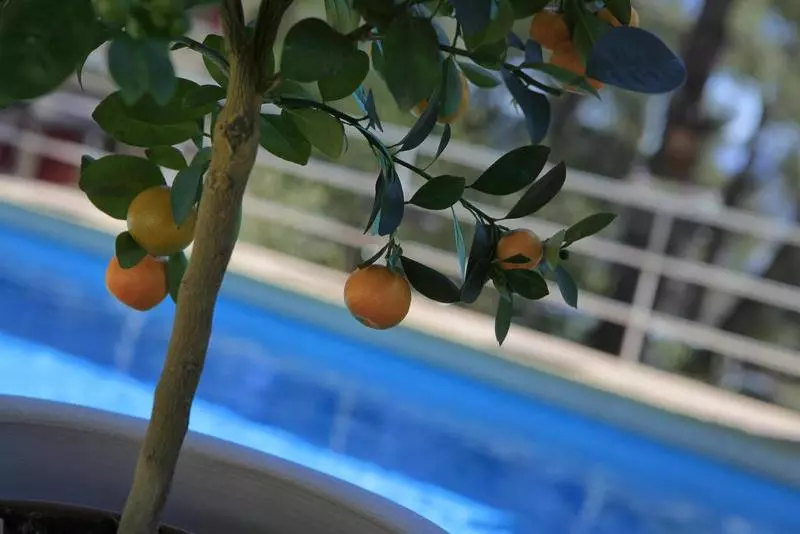 Fotos del hotel Authentic By Balladins Le Mas Des Ecureuils:  6