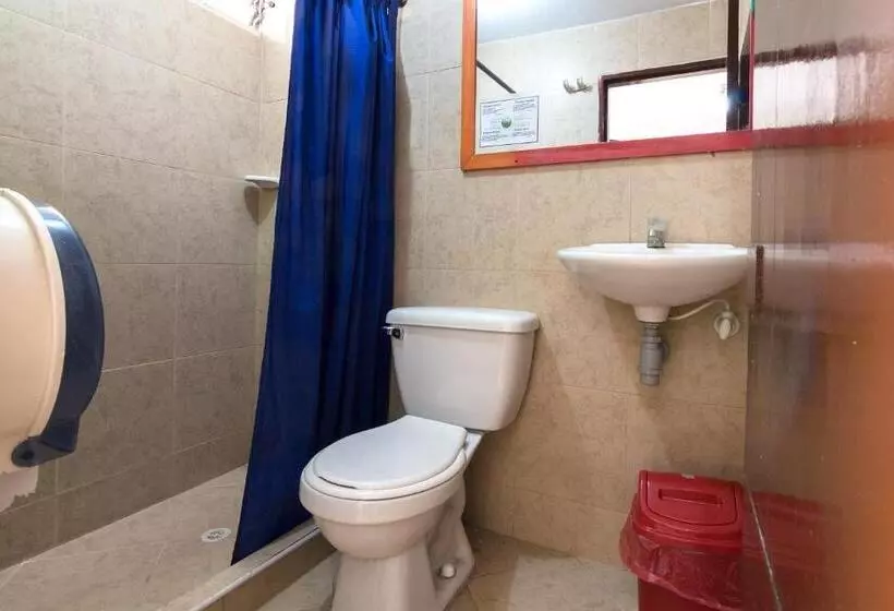 Fotos del hotel Ayenda 1248 Conquistadores:  5