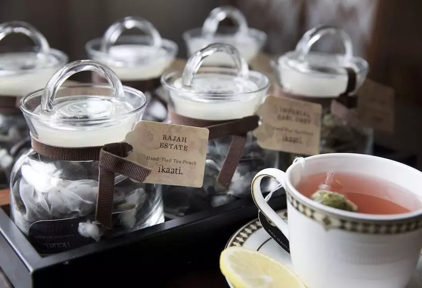 Fotos del hotel Drisco:  6