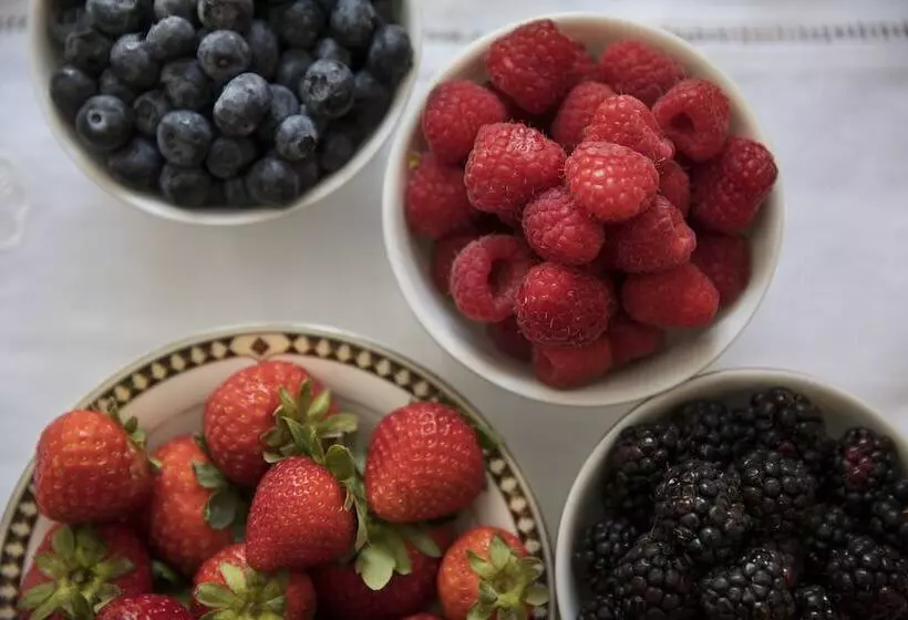 Fotos del hotel Drisco:  10