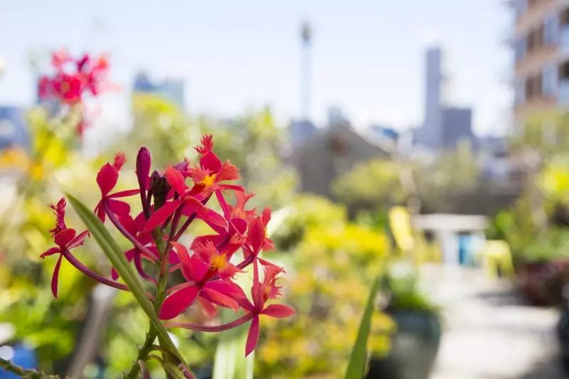 Fotos del hotel Regents Court Sydney:  12