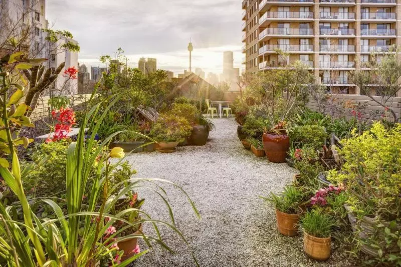 Fotos del hotel Regents Court Sydney:  3