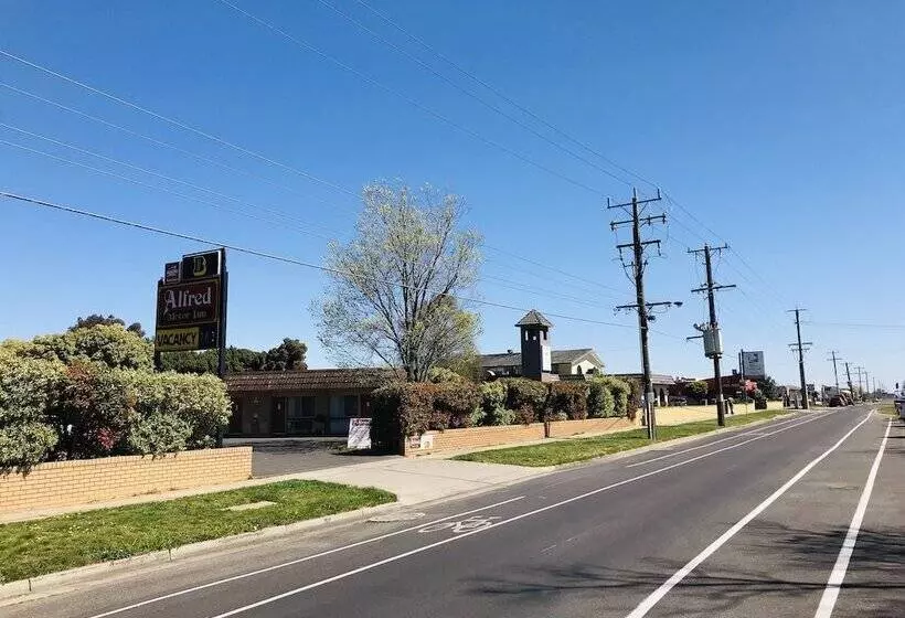 Fotos del hotel Alfred Motor Inn:  11