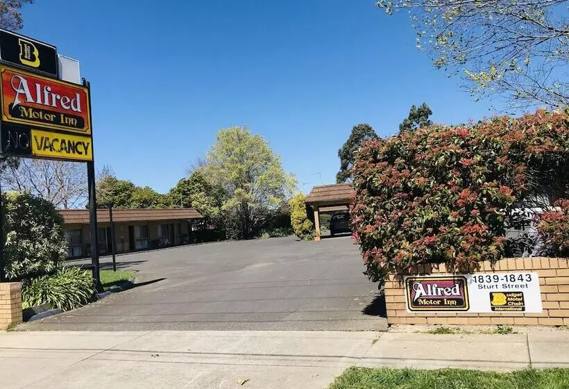 Fotos del hotel Alfred Motor Inn:  13