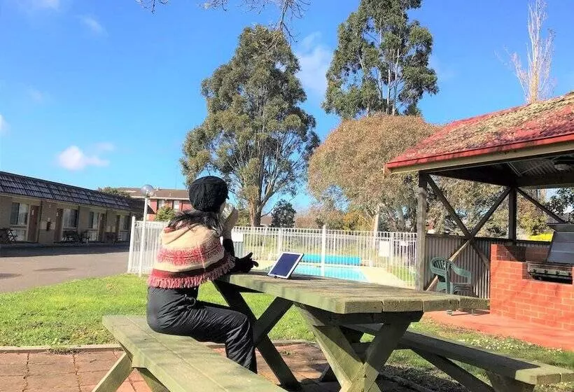 Fotos del hotel Alfred Motor Inn:  10