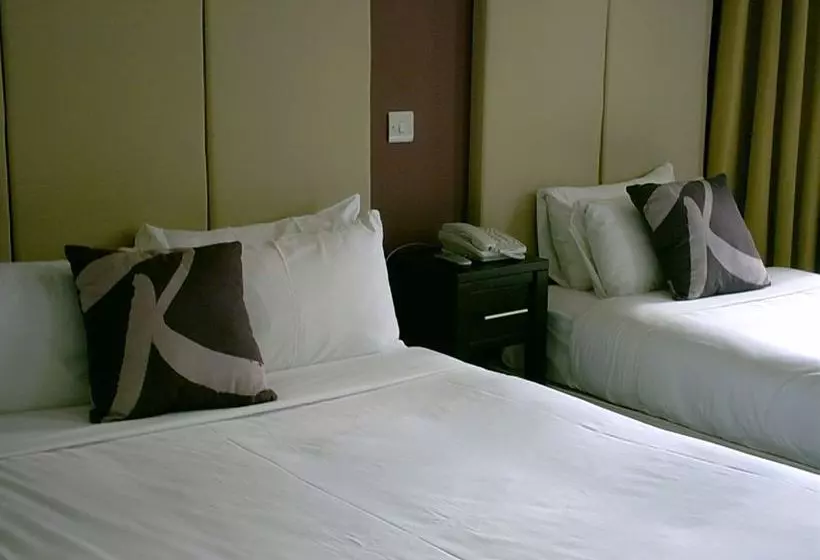 Fotos del hotel The Raglan:  13