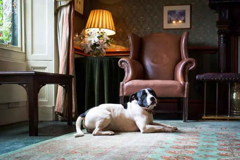 Fotos del hotel The Grange:  7