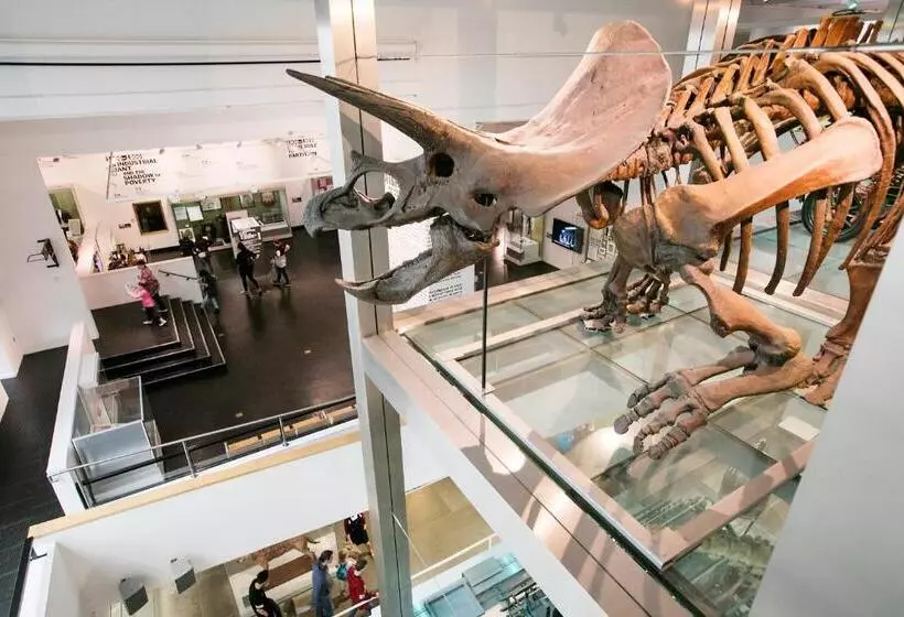 Fotos del hotel Holiday Inn Express Belfast City, An Ihg:  5