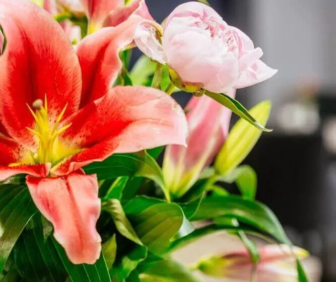 Fotos del hotel Oliver Plaza:  7