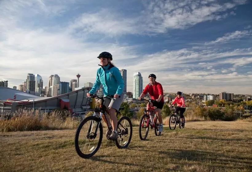 Fotos del hotel Four Points By Sheraton Hotel & Suites Calgary West:  14