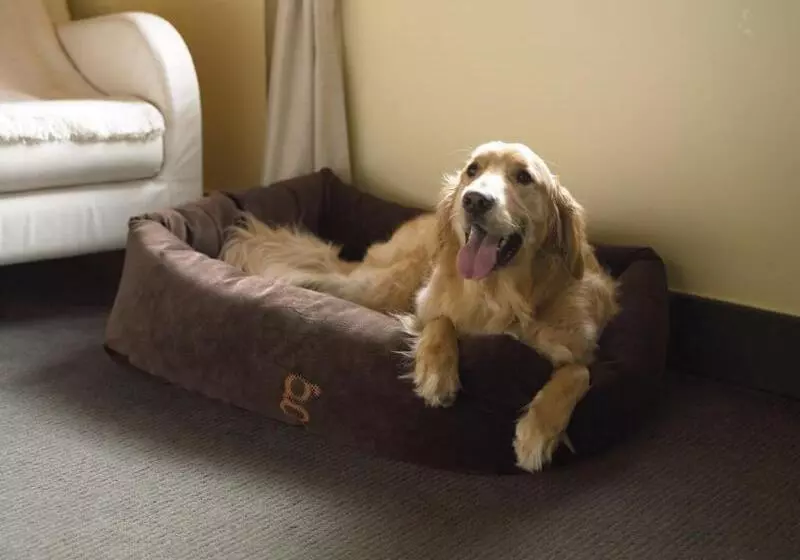 Fotos del hotel Hôtel Le Germain Québec:  6