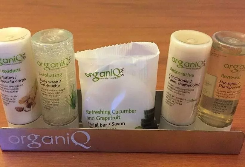 Fotos del hotel Saint Denis:  8