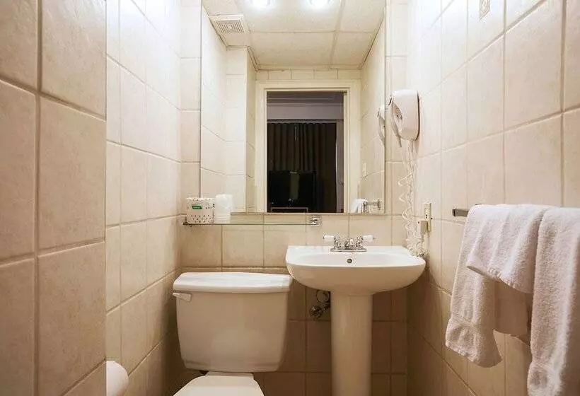 Fotos del hotel Saint Denis:  14