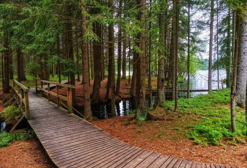 Fotos del hotel Orea Spa Hotel Cristal:  14