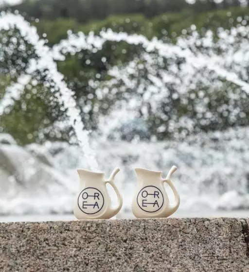 Fotos del hotel Orea Spa Hotel Cristal:  22