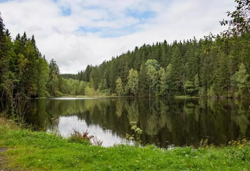 Fotos del hotel Orea Spa Hotel Cristal:  23