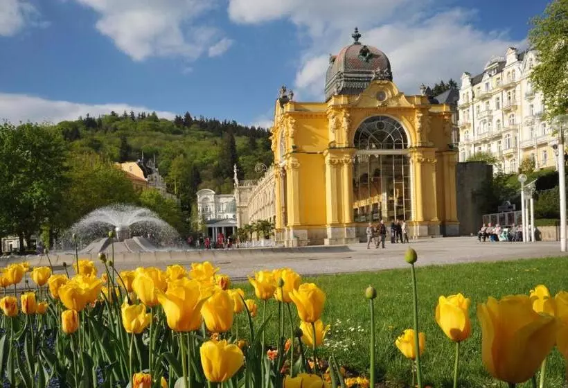 Fotos del hotel Orea Spa Hotel Cristal:  18