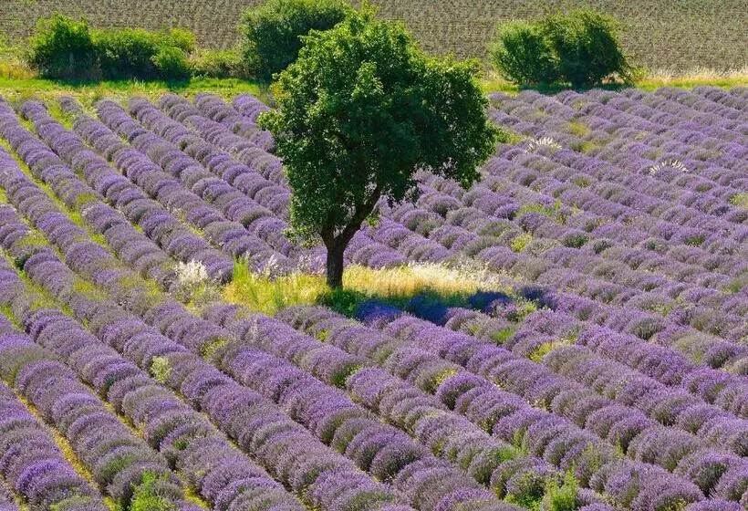 Fotos del hotel Cristol:  5