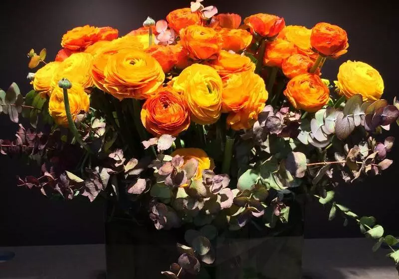 Fotos del hotel Villa Saxe Eiffel:  15