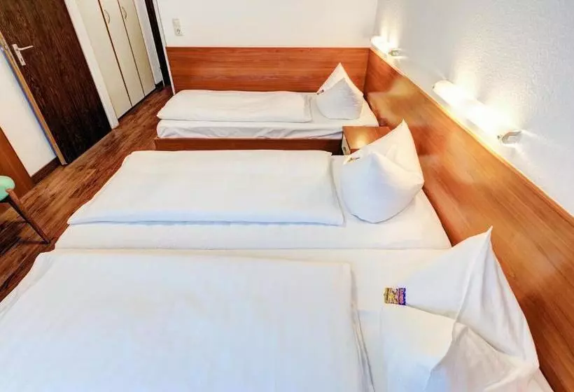 Fotos del hotel Antares:  17