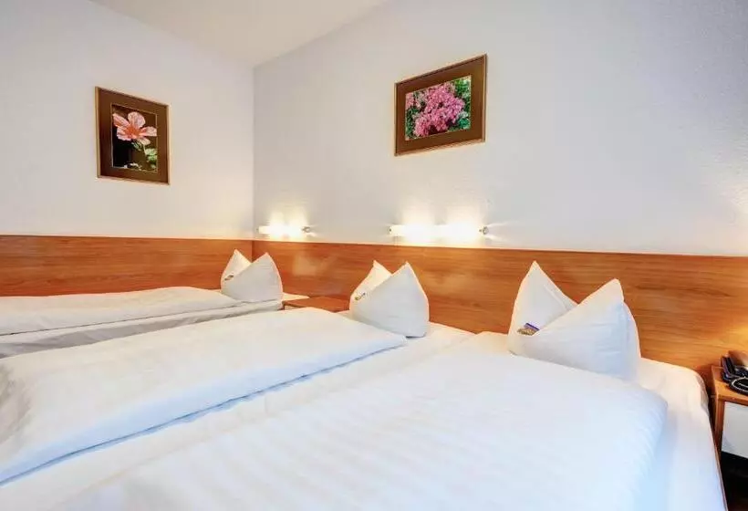 Fotos del hotel Antares:  21