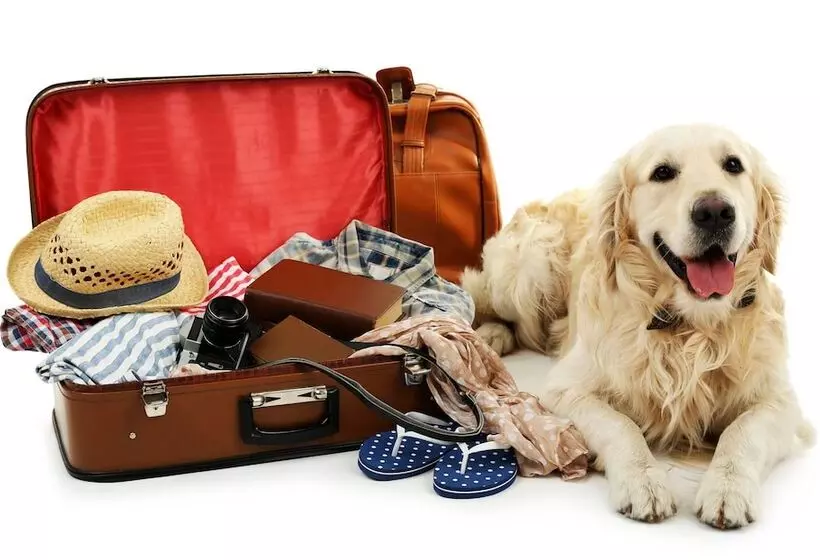 Fotos del hotel Elbflorenz Dresden:  10