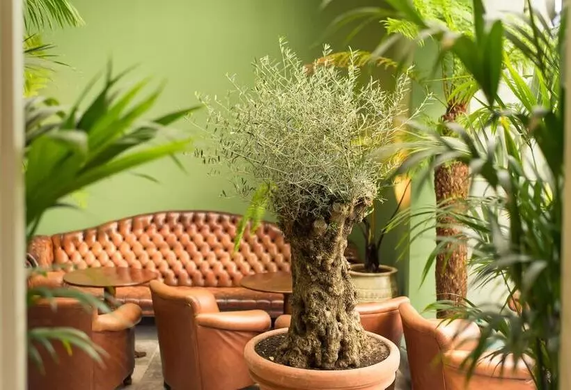 Fotos del hotel Cahernane House:  8