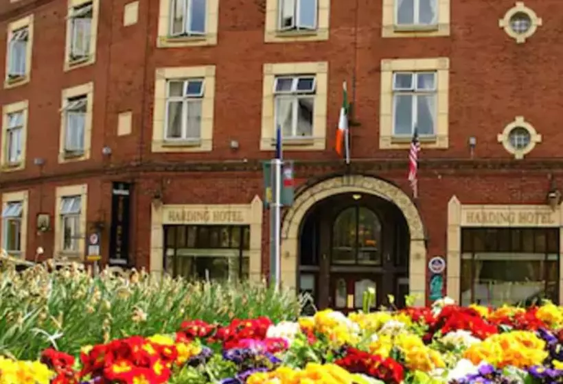 Fotos del hotel Harding:  5