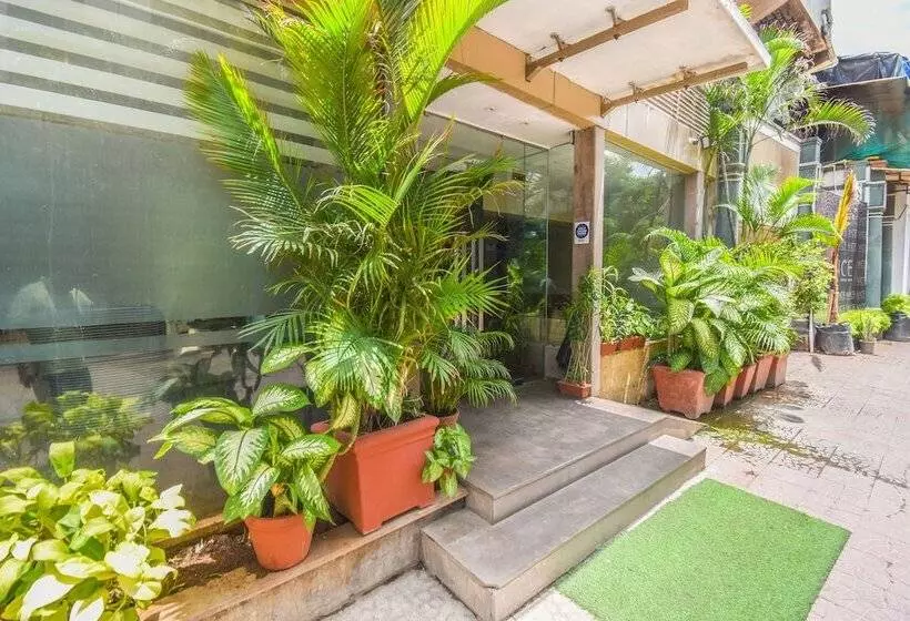 Fotos del hotel Kings International:  6