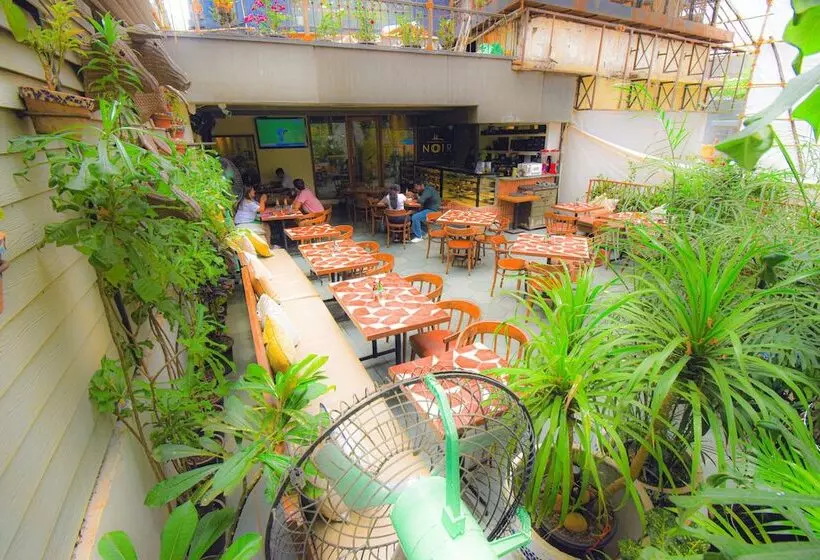 Fotos del hotel Kings International:  21