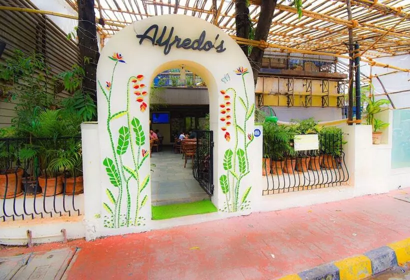 Fotos del hotel Kings International:  23