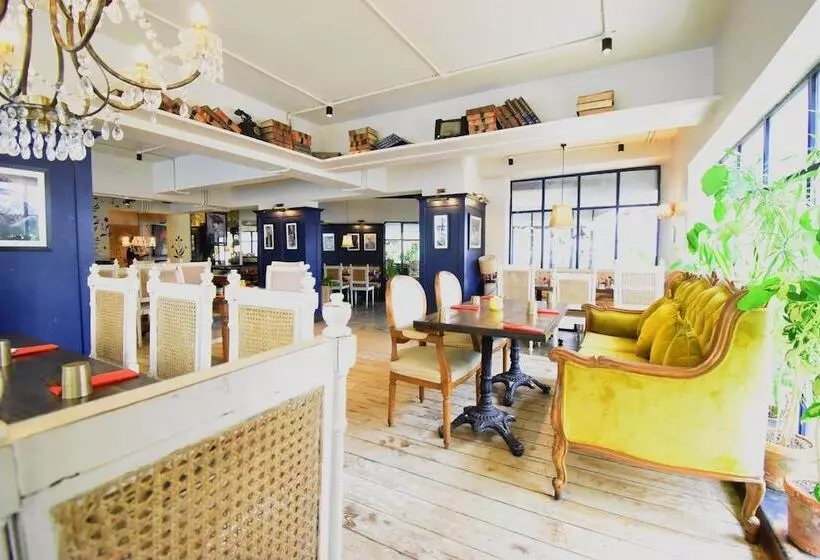 Fotos del hotel Kings International:  24