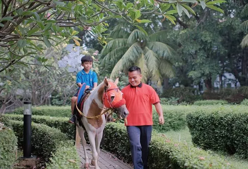 Fotos del hotel Sunlake:  14