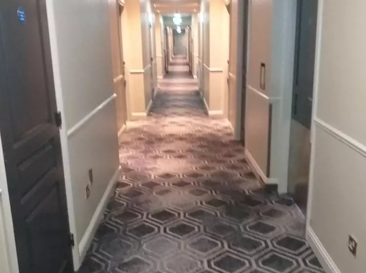 Fotos del hotel The Parkavon:  12