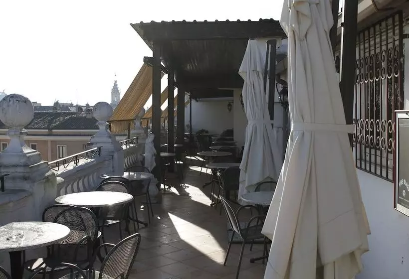 Fotos del hotel Genio:  21