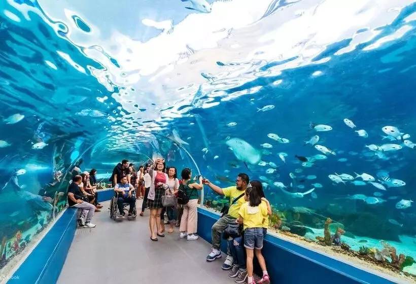 Fotos del hotel Century Park:  3