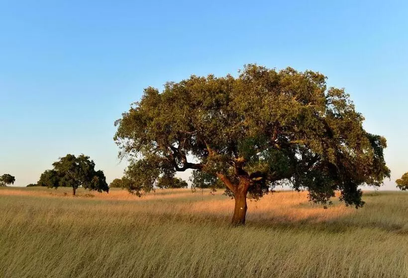 Fotos del hotel Pousada Convento De Beja:  10