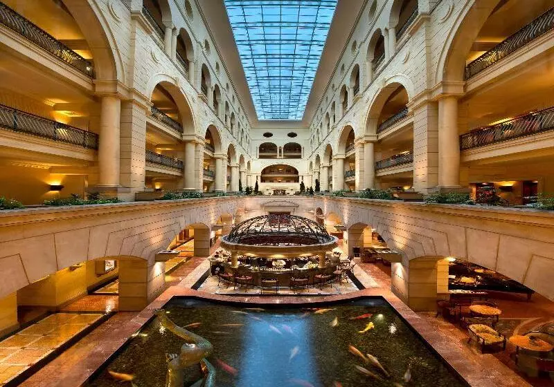 Fotos del hotel The Michelangelo:  18