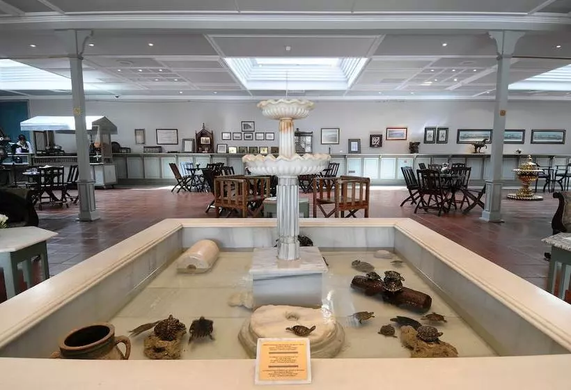 Fotos del hotel Armada Istanbul Old City:  11